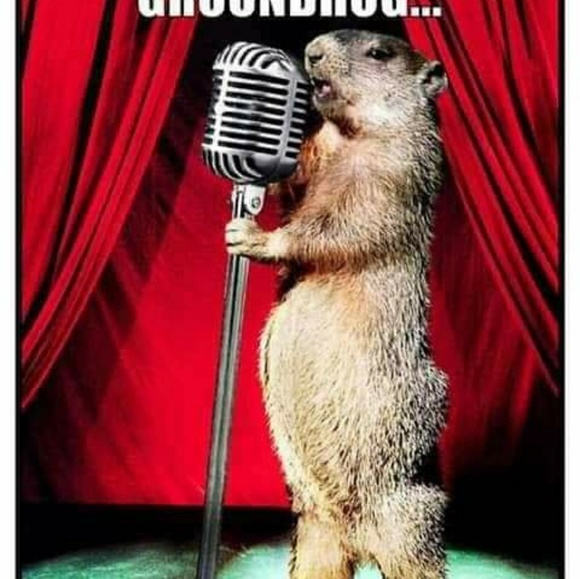 Meet your Posher, Debbie - Picture 1 of 1